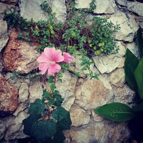 Apartman On The Beach - Nemira, Omis Apartment Exterior foto